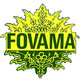 Fovama Rugs & Carpets of Westchester