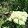 webuser_60416697