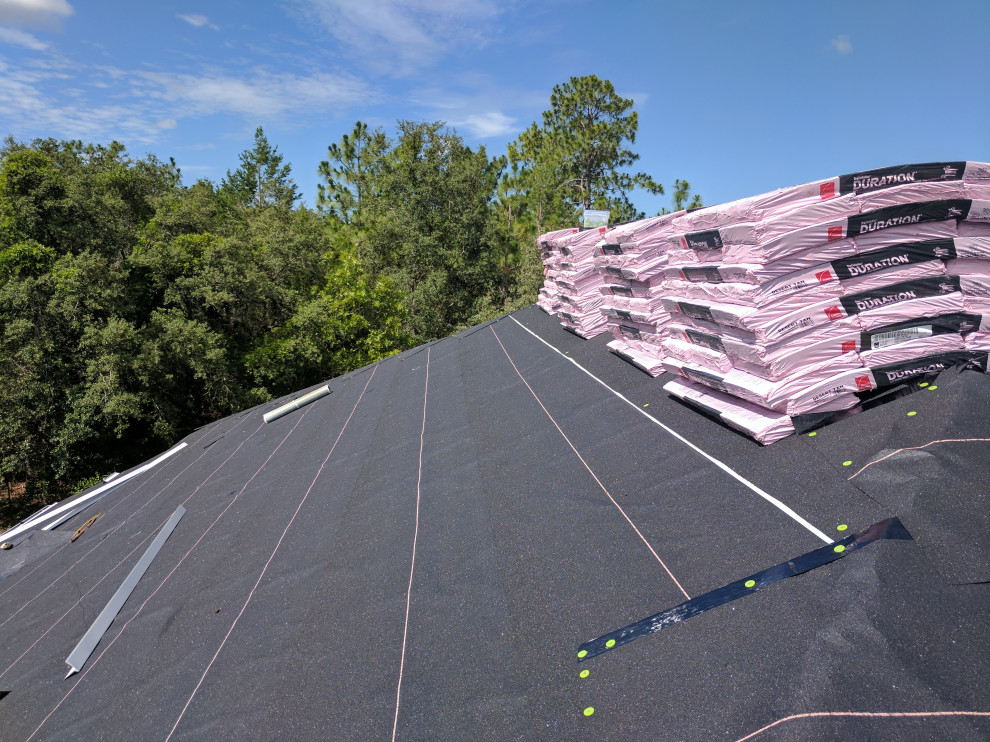 Shingle Roof