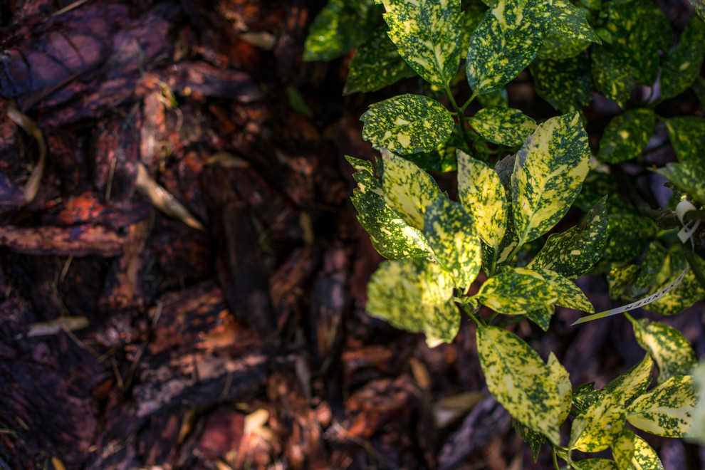 Ландшафтный Дизайн Олимпийский Сочи