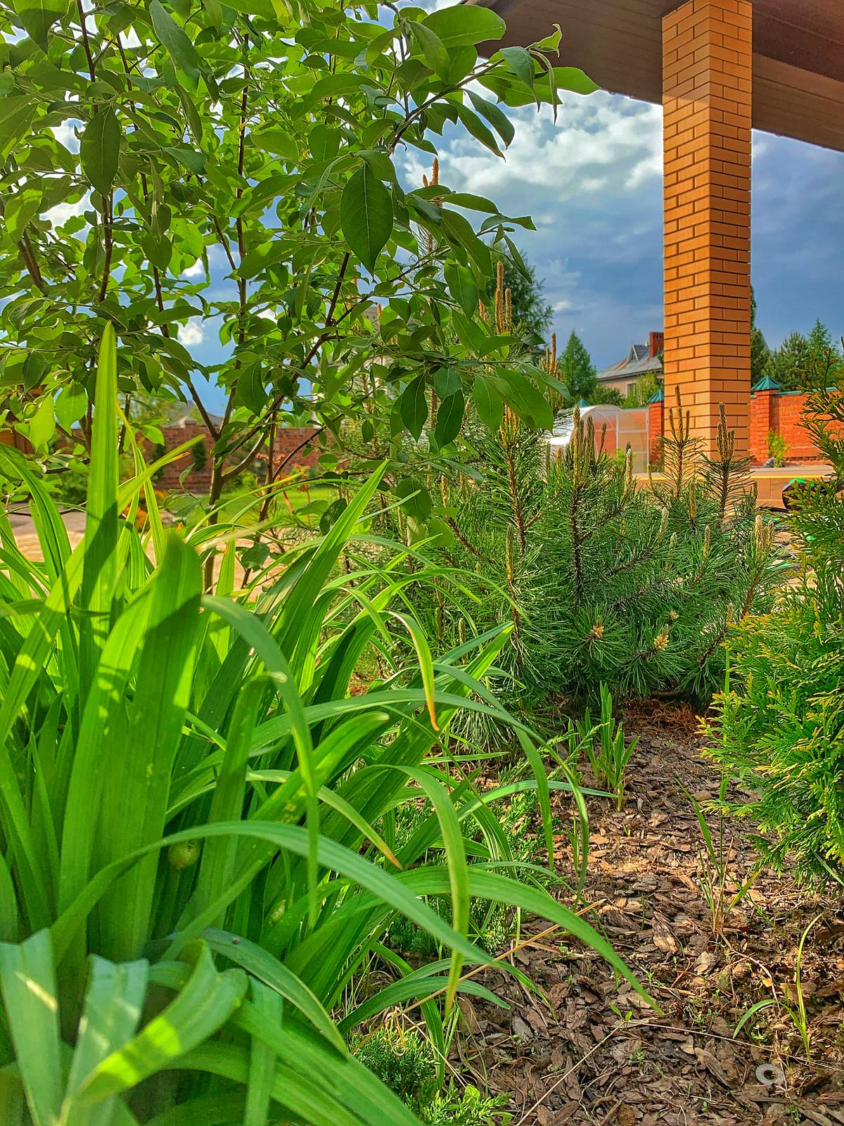 Ландшафтный дизайн в п. Молодёжный (Иркутск)