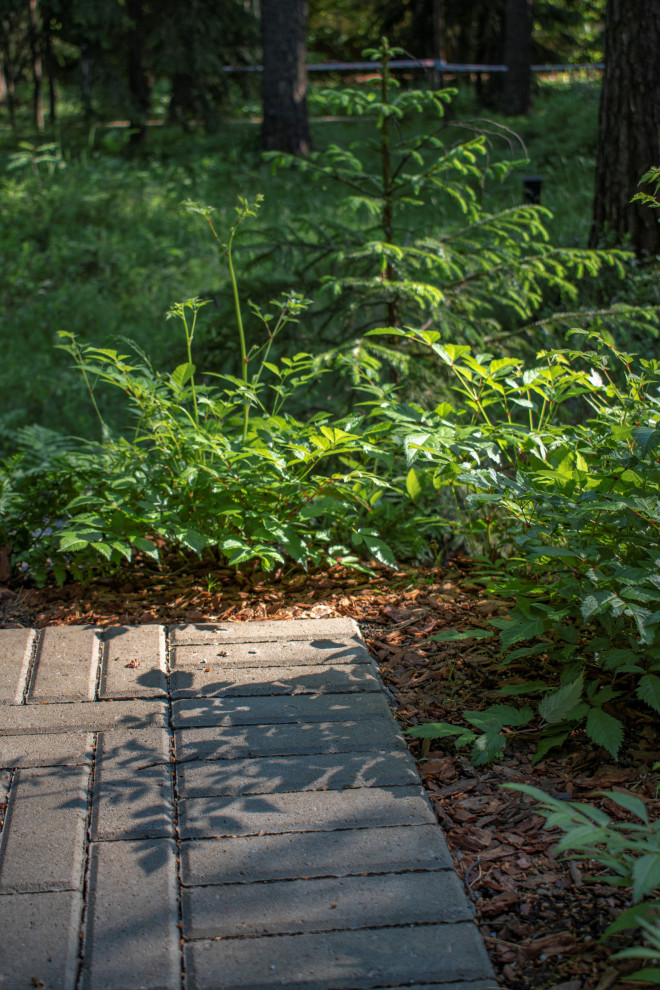 Тенистый сад