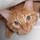 jennifer_pisano47