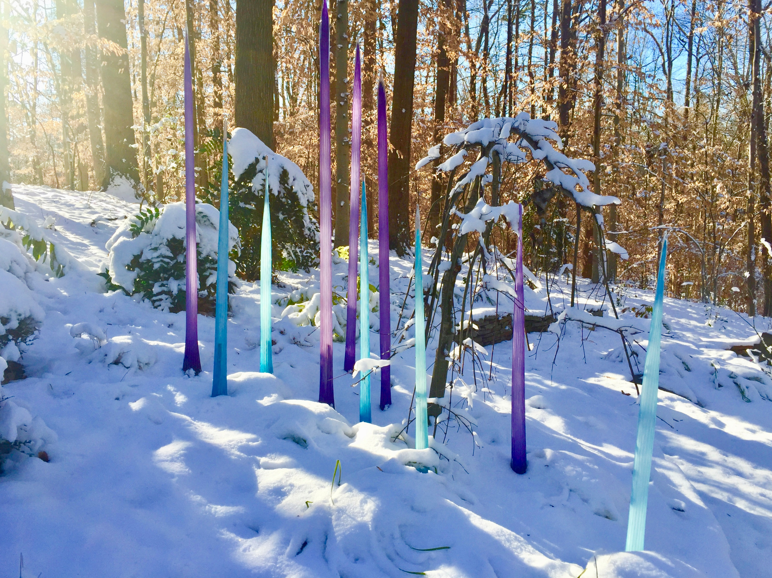 Glass spears in the snow.