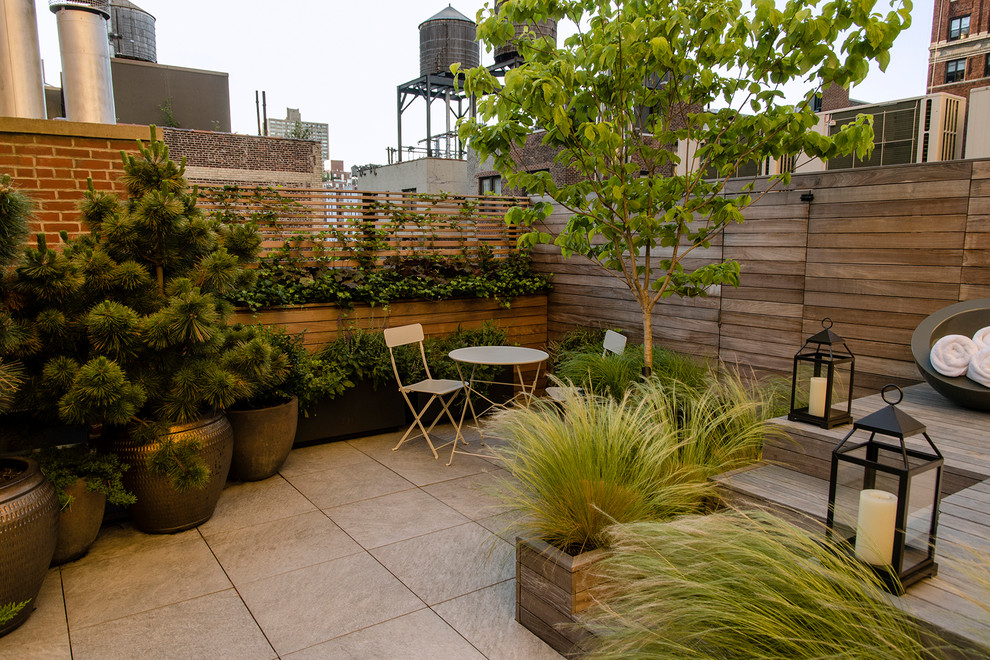 Photo of a contemporary xeriscape for summer in New York.