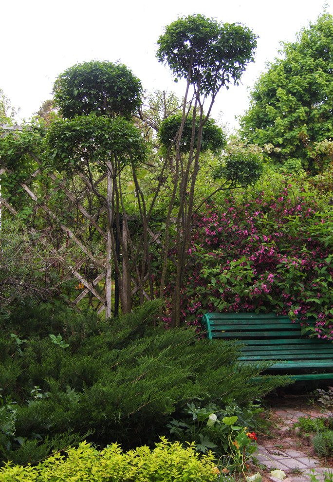 Наш сад / Our garden