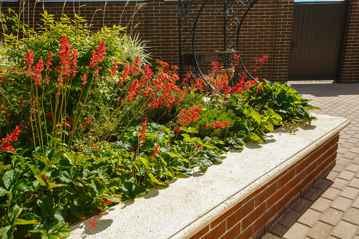 Времена года в саду "Красный октябрь"