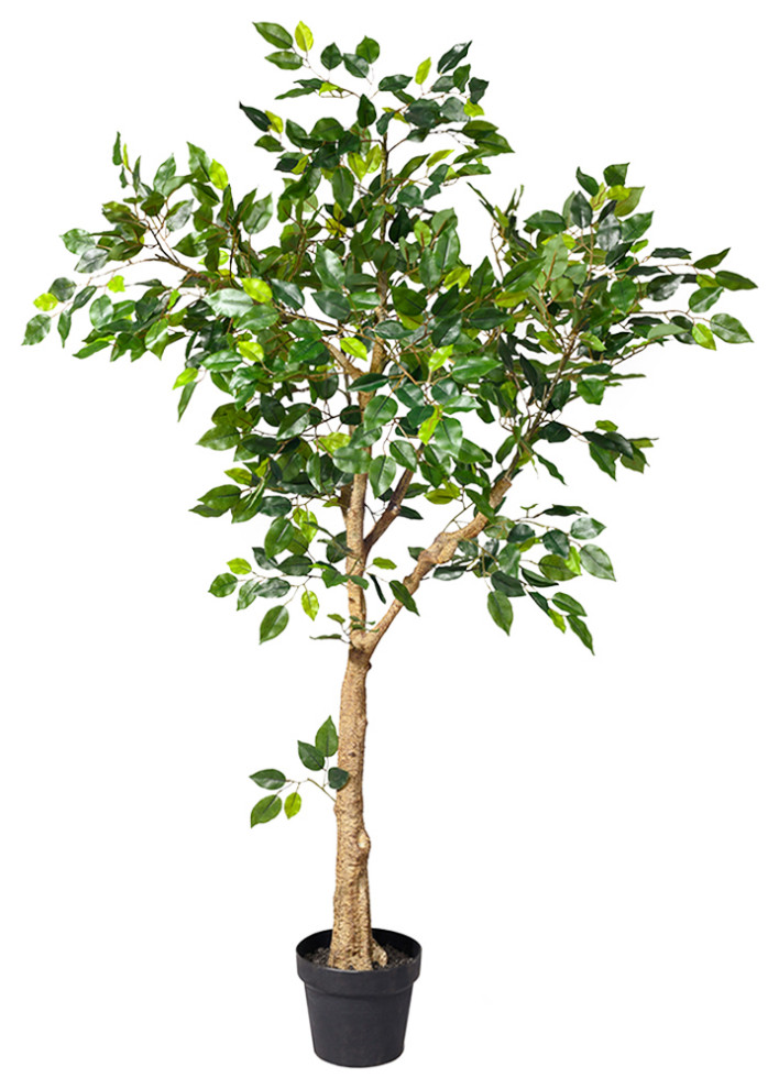 Serene Spaces Living Mini Ficus Tree, Real Looking Tree, 54" Modern
