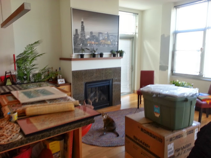 Cats friendly condo remodel