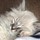 debra_bill