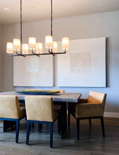 Held Home | Denver, CO | Modern Living Spaces Renovation