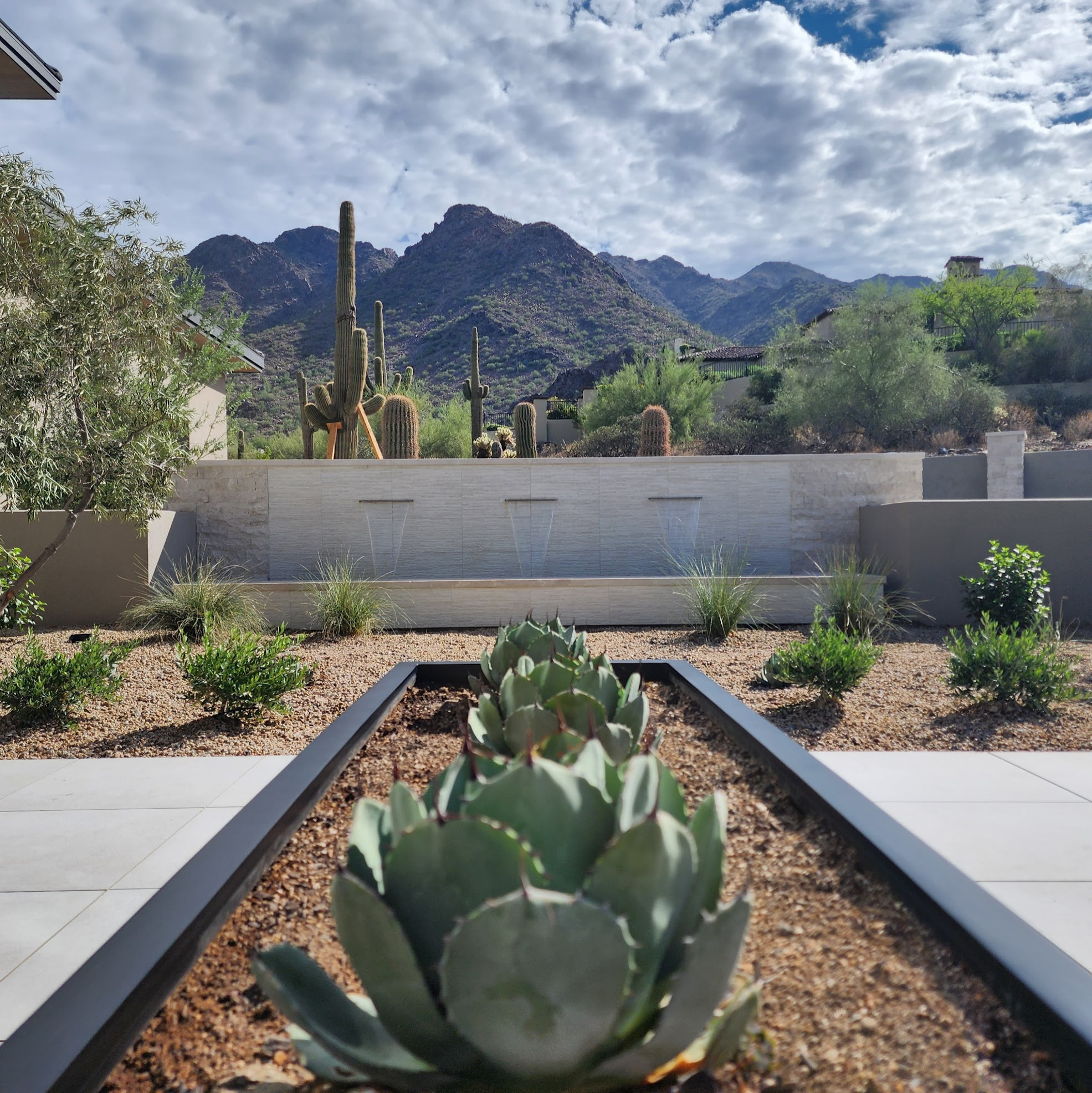 Silverleaf III