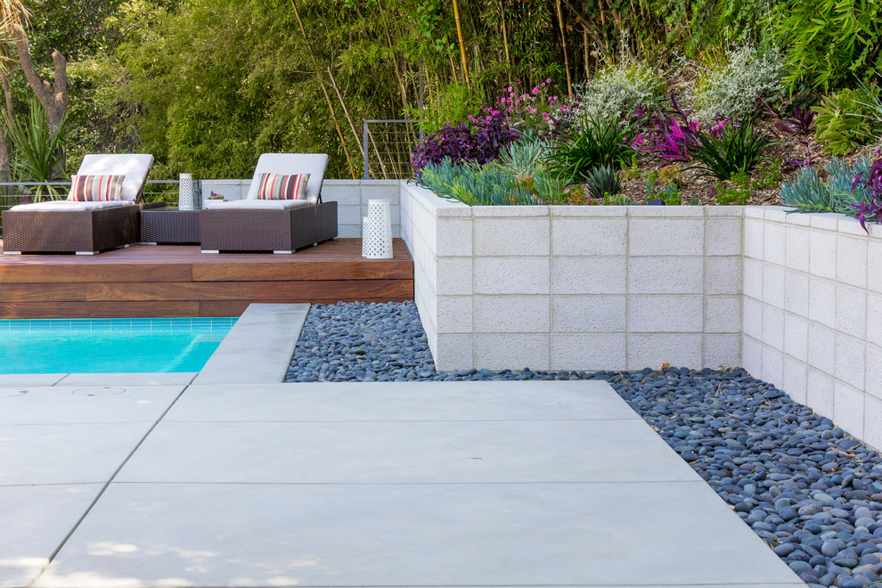 This is an example of a mid-sized contemporary backyard garden in Los Angeles.