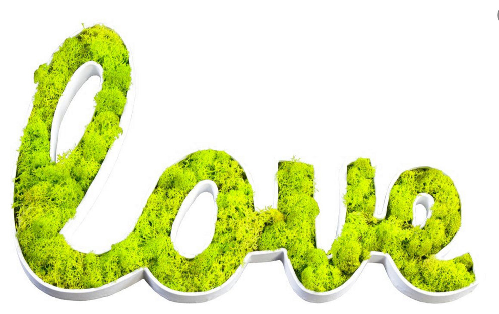 Мох в интерьере