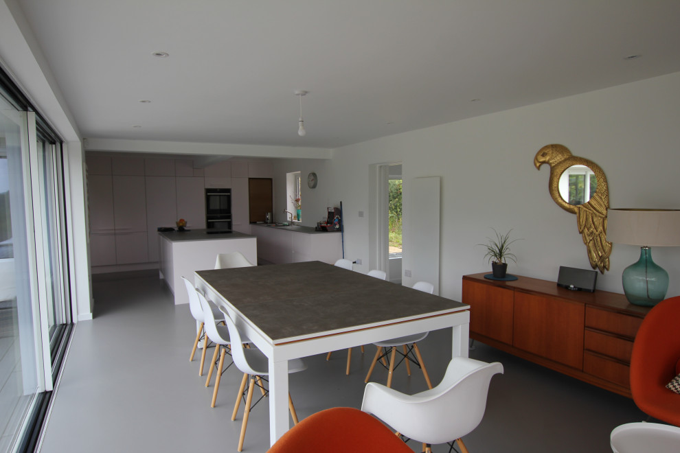 Idee per una sala da pranzo aperta verso la cucina minimalista di medie dimensioni con pareti bianche, pavimento in cemento e pavimento grigio