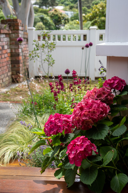 Summer garden - View from deck lantlig-traedgaard