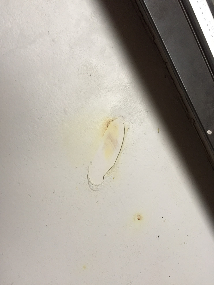 Help needed for paint peeling off window sill