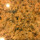 jim_polster5