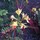 Last commented by Pam Knowles-Ellingson