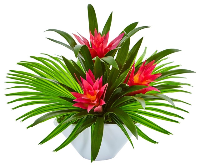Nearly Natural Bromeliad Artificial Arrangement In Oval White Vase Tropical Artificial Flower Arrangements By Nearly Natural Inc