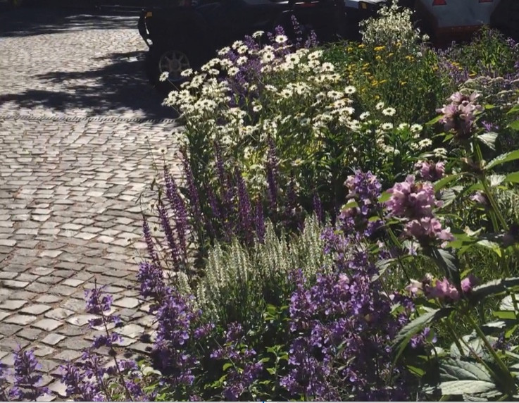 Сад натуралистического стиля