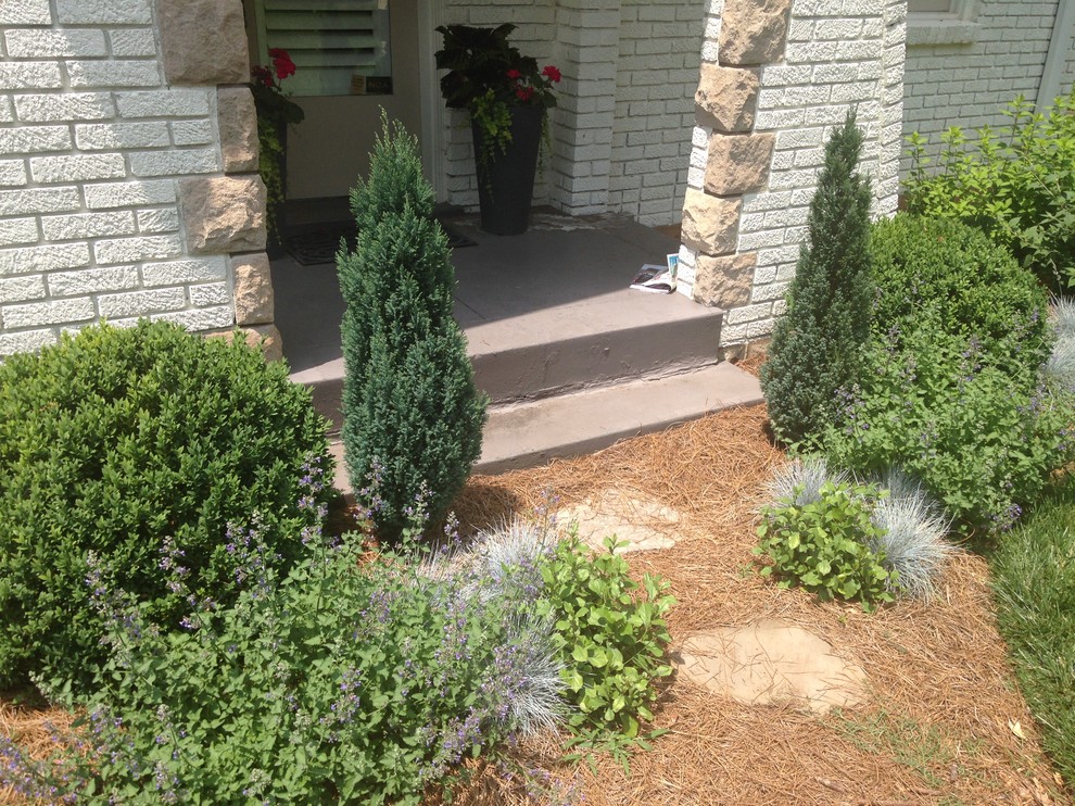 Design ideas for a mid-sized traditional front yard full sun xeriscape for summer in Nashville with mulch.