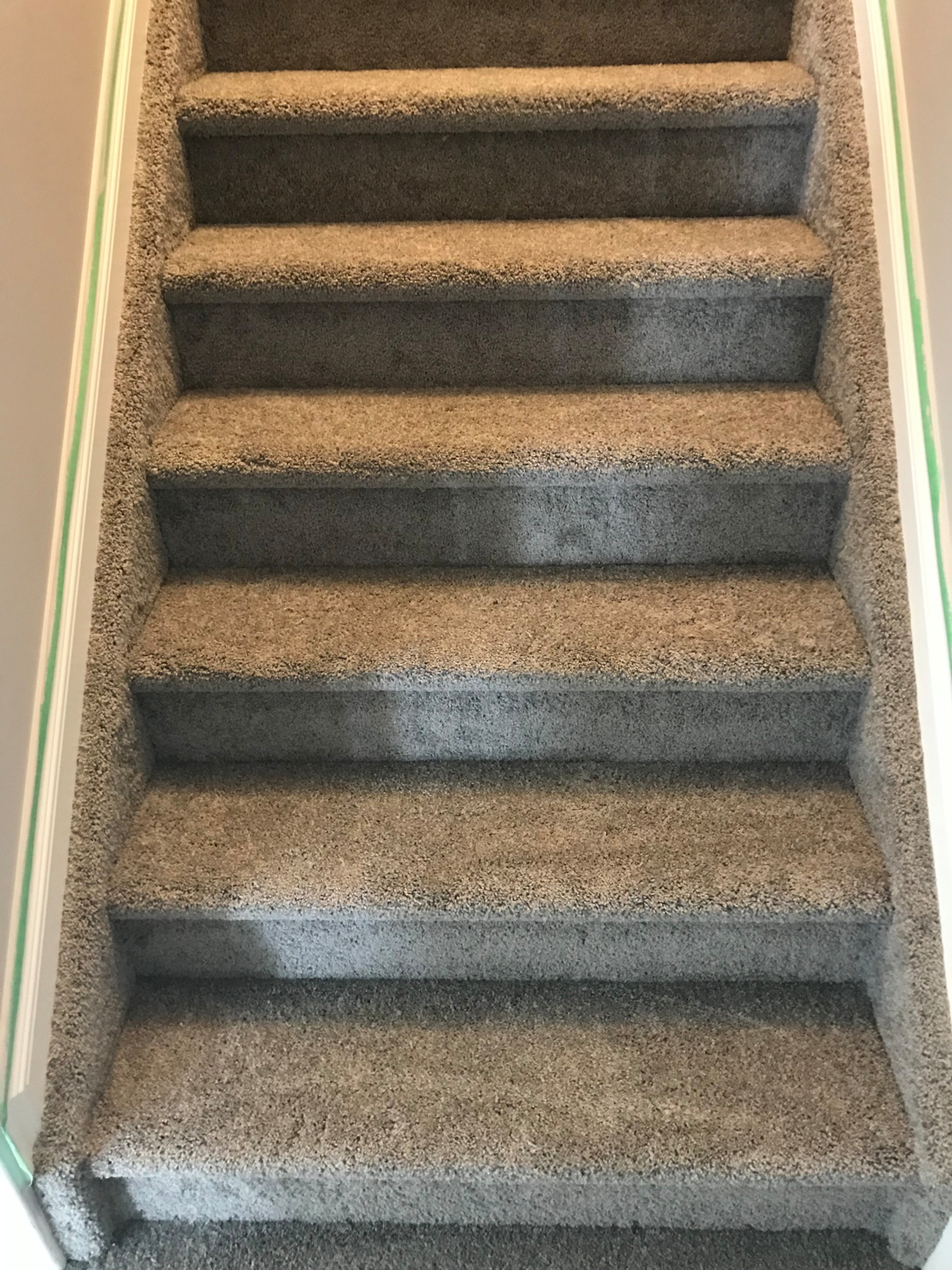 Carpet
