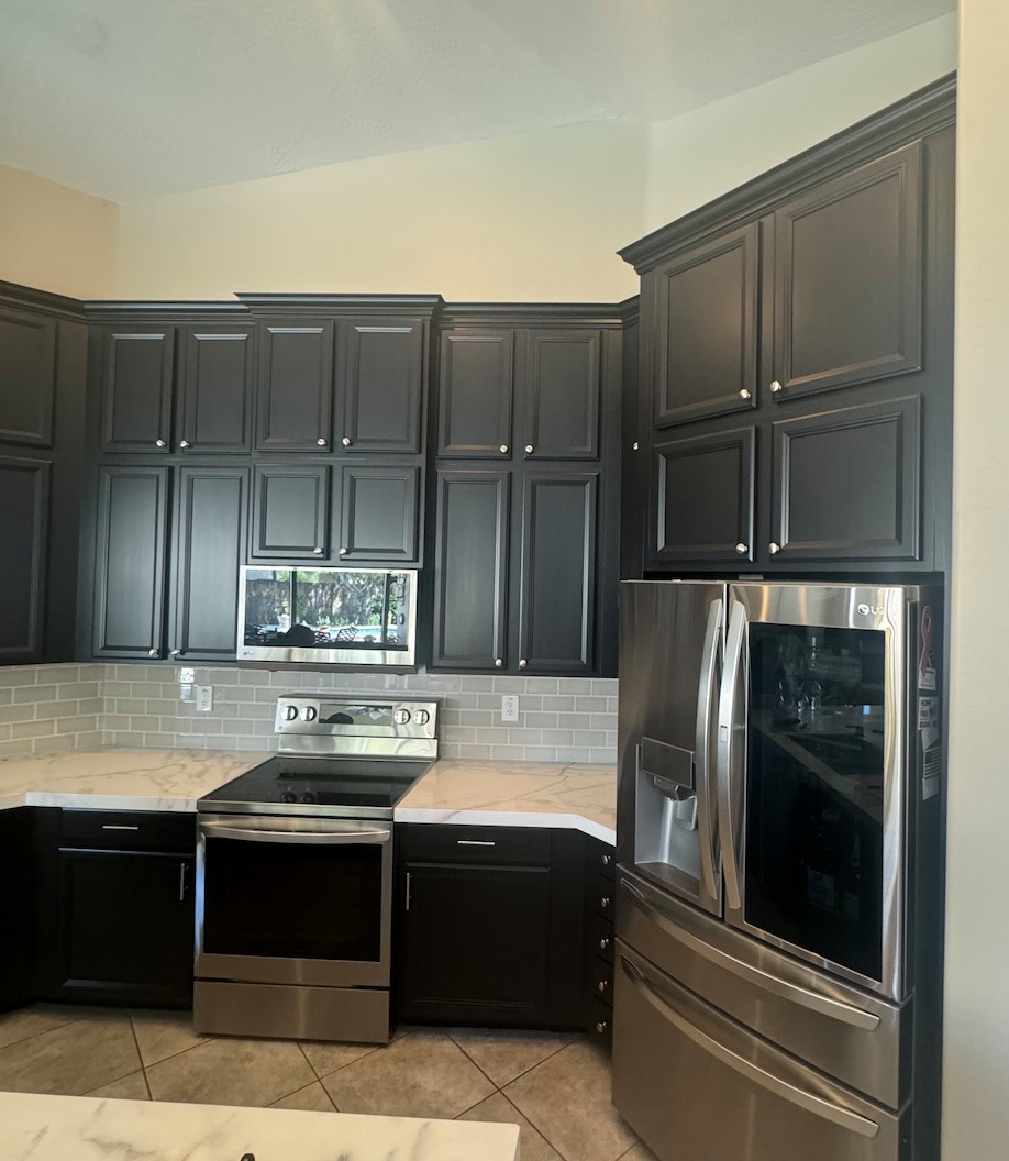 Kitchen Cabinetry Painted Black