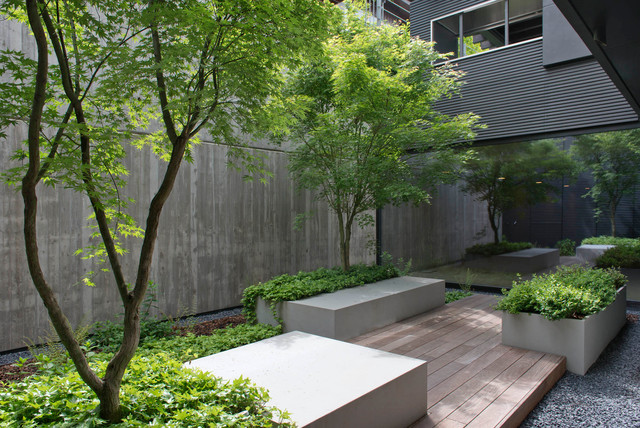 casa FFF contemporary-deck