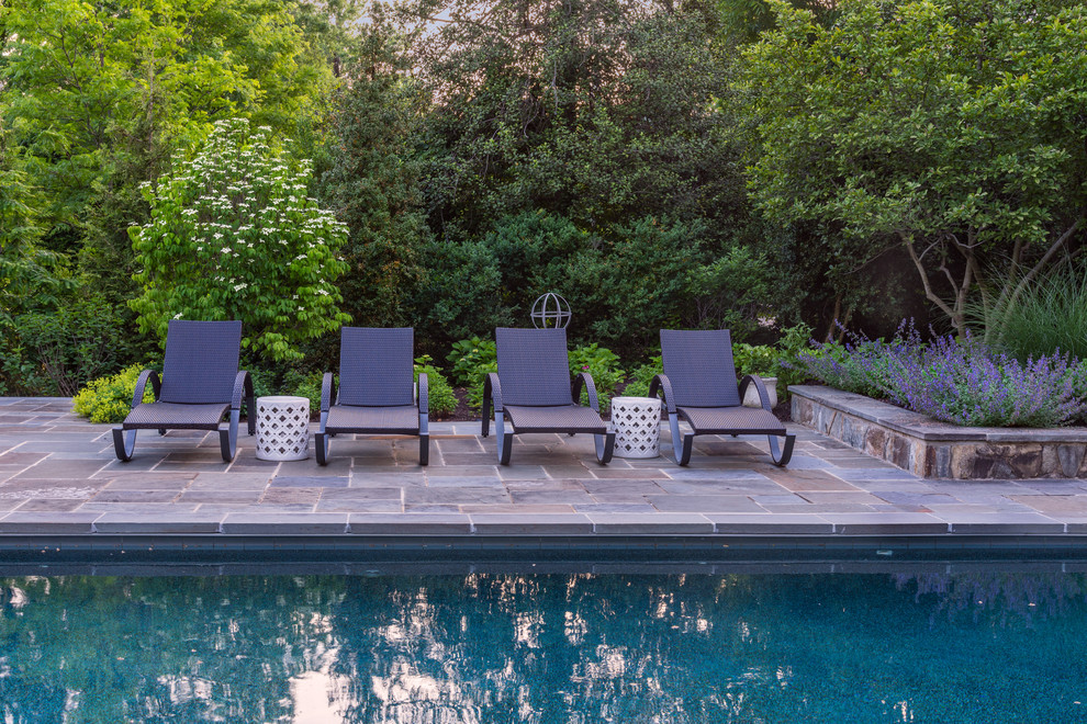 Photo of a large transitional backyard rectangular lap pool in DC Metro with natural stone pavers.