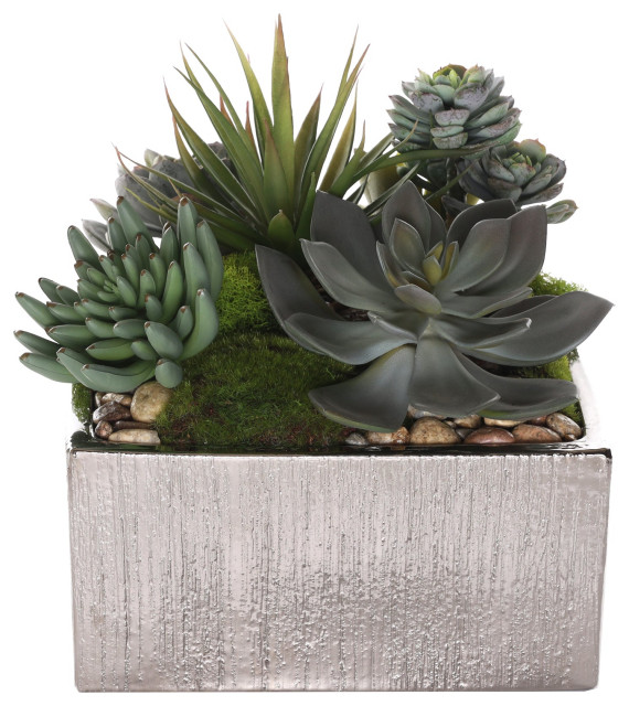 Succulents Arrangement With rocks, Square Etched Sliver Pot Modern