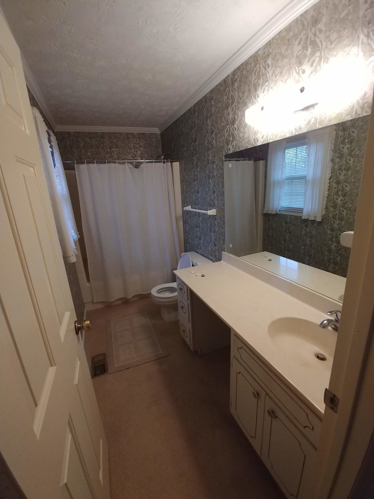 Affordable vanity options for dated bathroom?