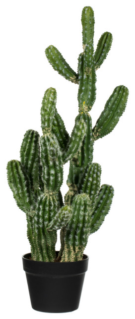 Vickerman 31" Artificial Green Potted Cactus
