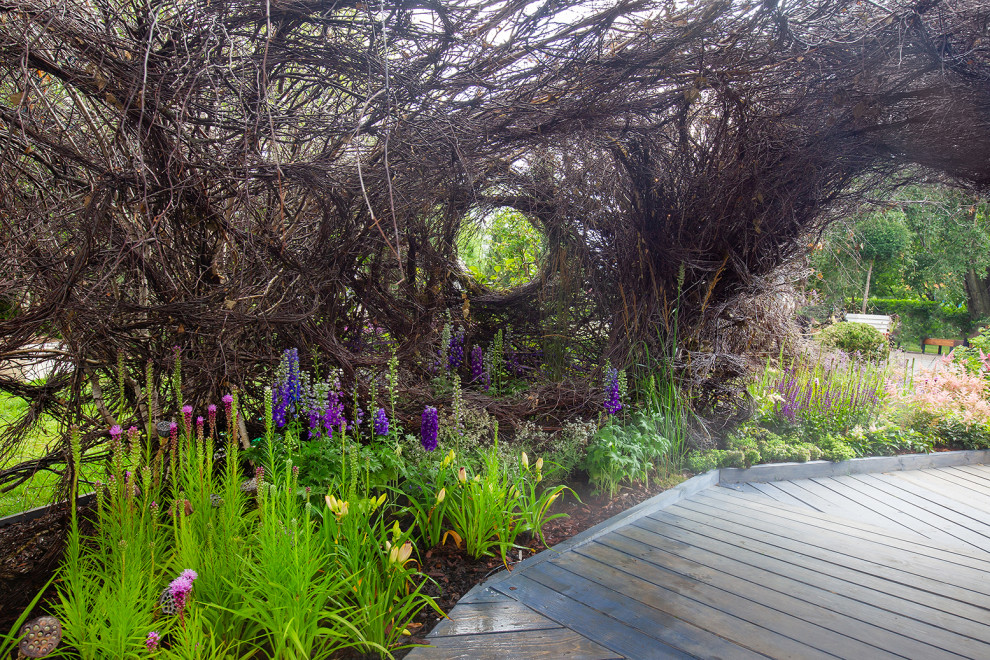 Фотосъемка Сада   по  Метрелинку на MFS 2019 Авторы М,Береснева М. ПРИНТЦ