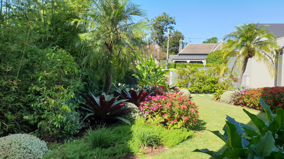 Photo of a tropical backyard full sun garden in Sydney with natural stone pavers.