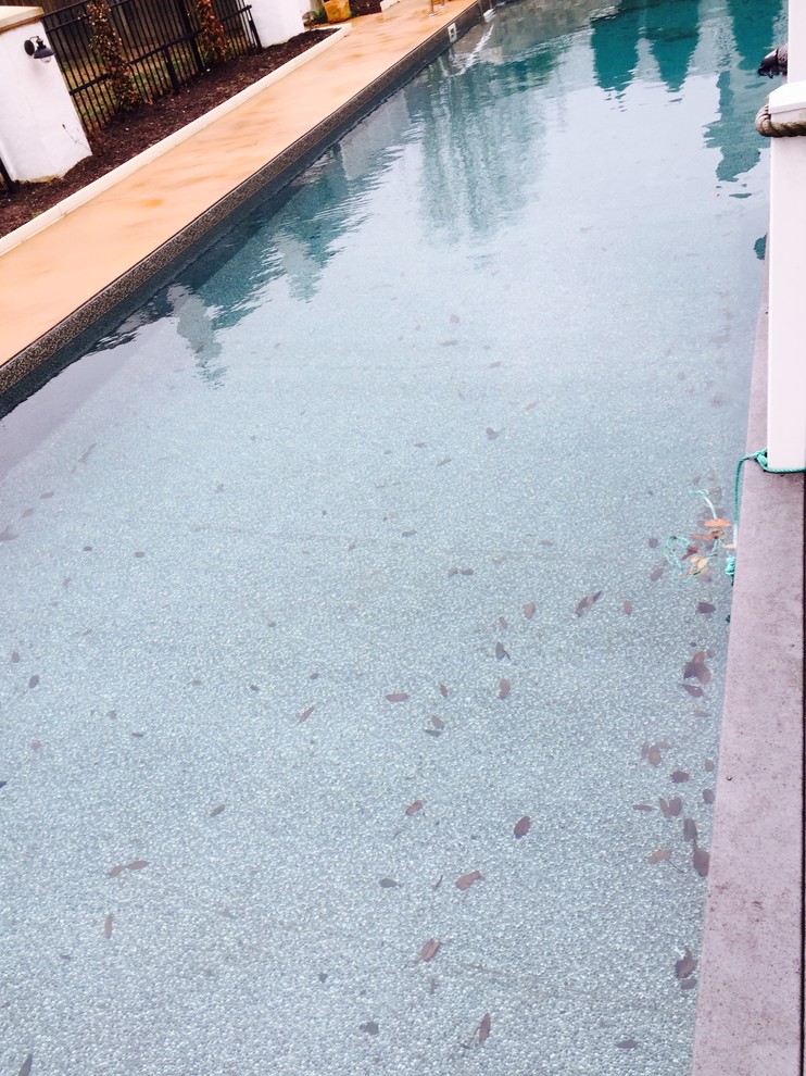 Inspiration for a mid-sized backyard rectangular lap pool remodel