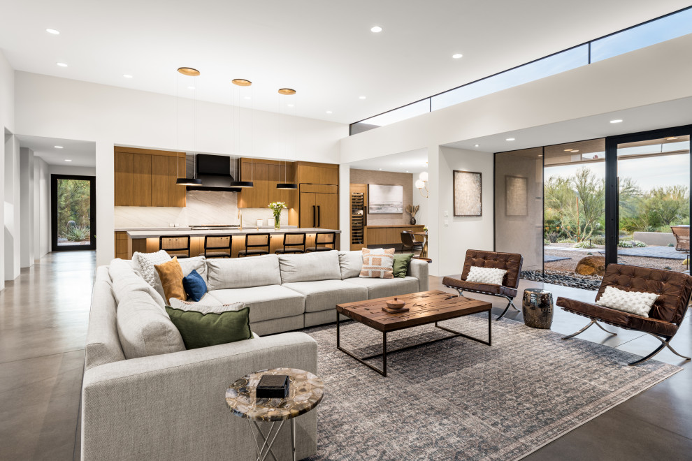 Carefree Dream - Contemporary - Living Room - Phoenix - by Full Circle ...