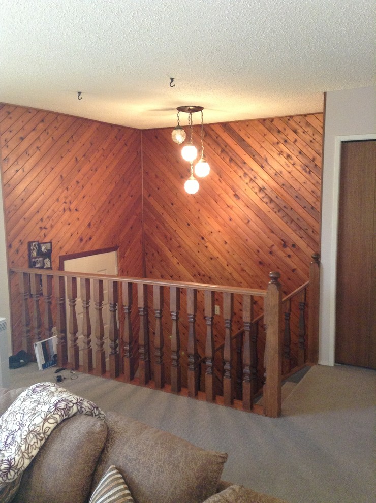 Bi Level Entry Design Help | Houzz Forum