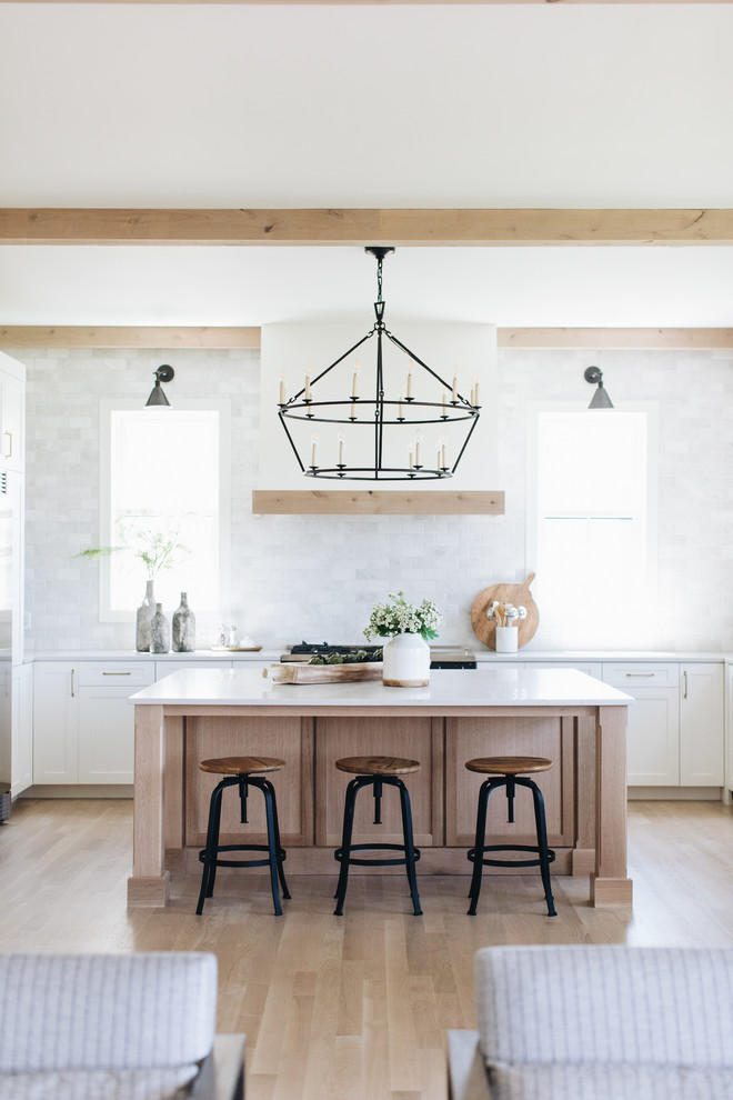 Kitchen - transitional kitchen idea in Chicago