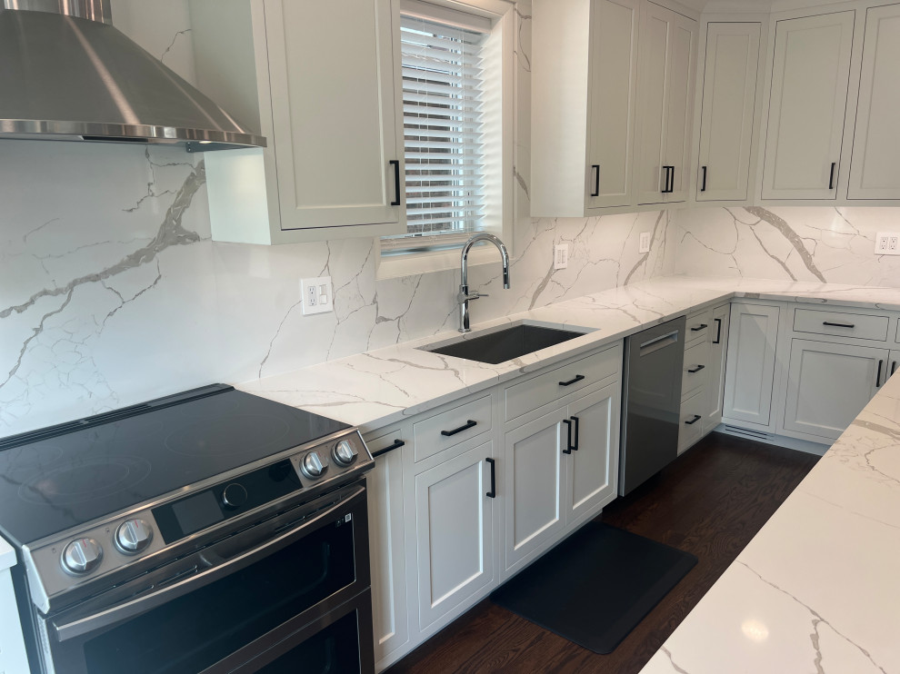 Chicago Kitchen/Dining Renovation