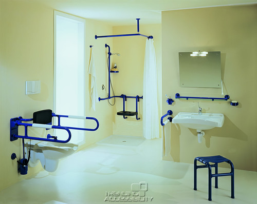 grab bars & handrails in bathrooms for seniors or for all?