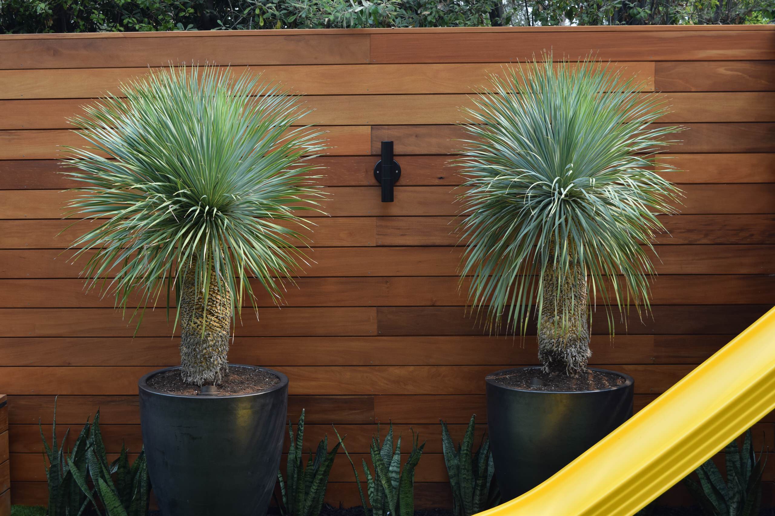 Mid-Century Modern Backyard -  Oakland