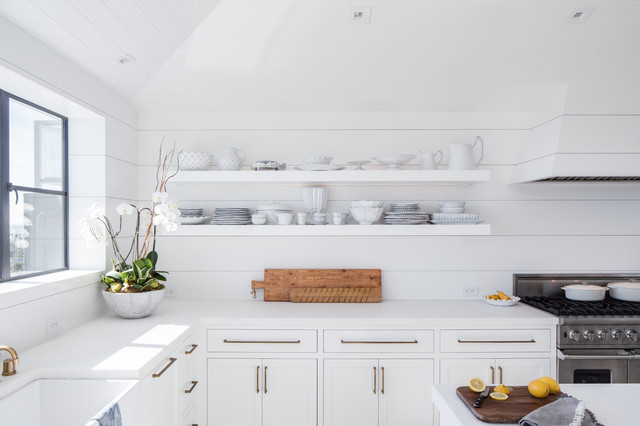 Pinecrest modern-kitchen
