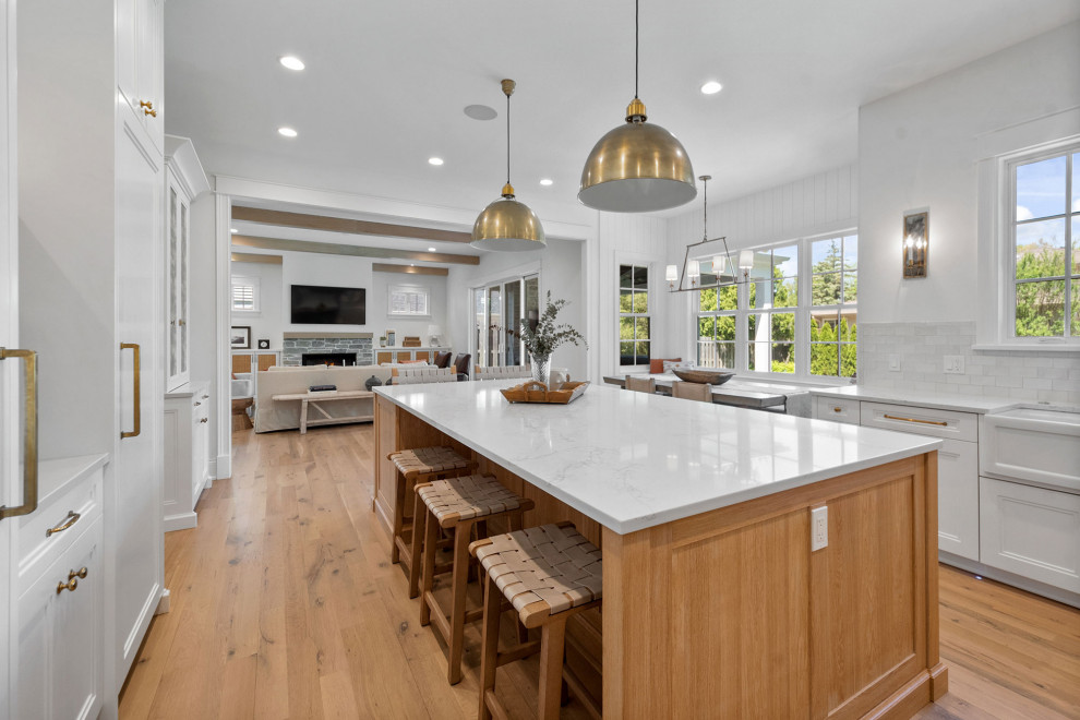 Inspiration for a transitional home design remodel in Chicago