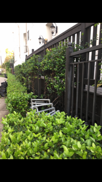 Wrought Iron Fence Renewed & Repainted.