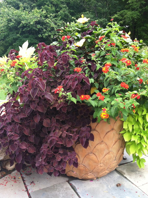 "Pot Shots" traditional-garden
