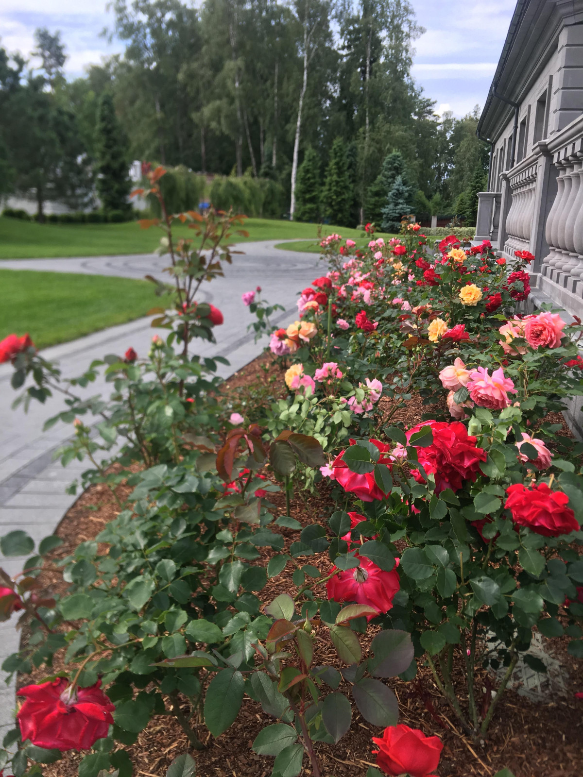 Курортный район Лен. область