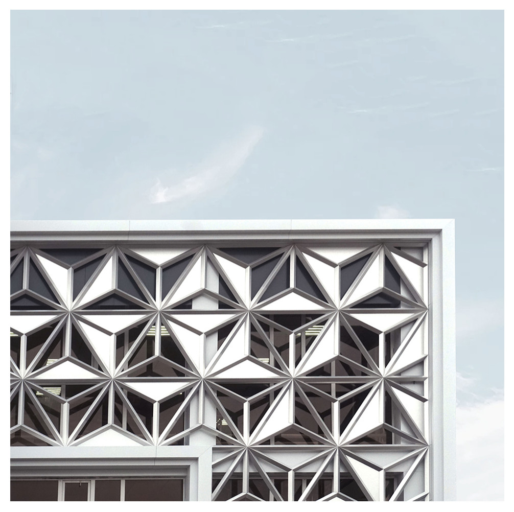 Фасад. Сетчатая декоративная оболочка