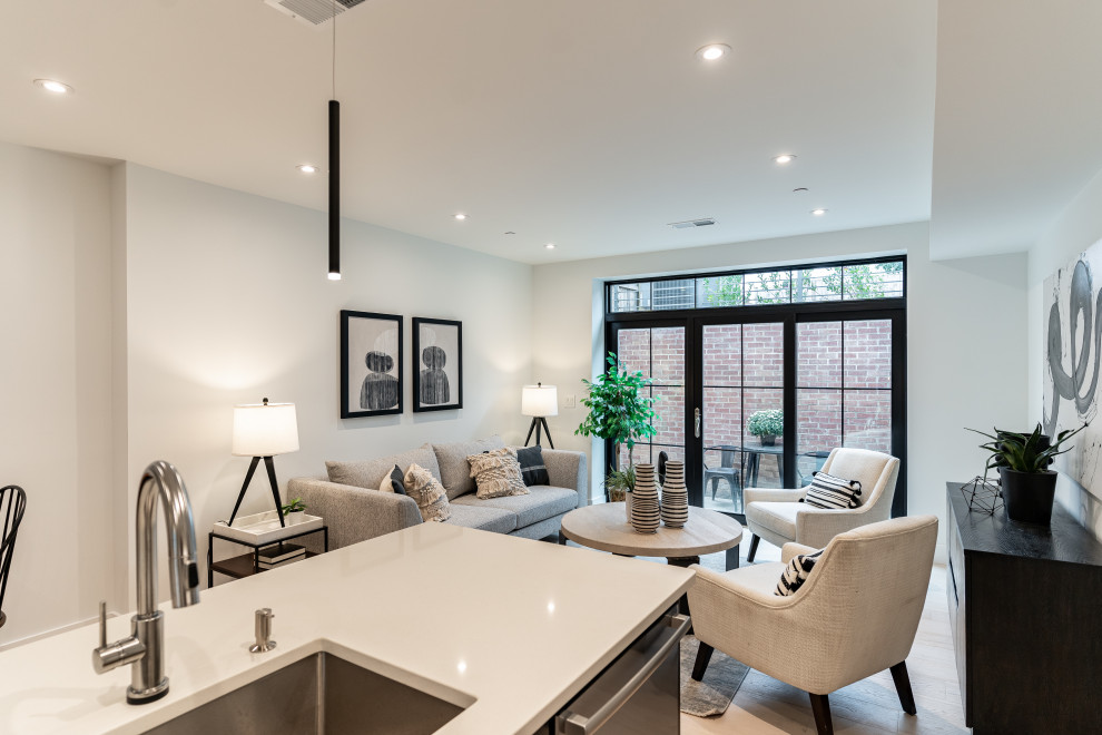 Southwest DC Duplex Renovation