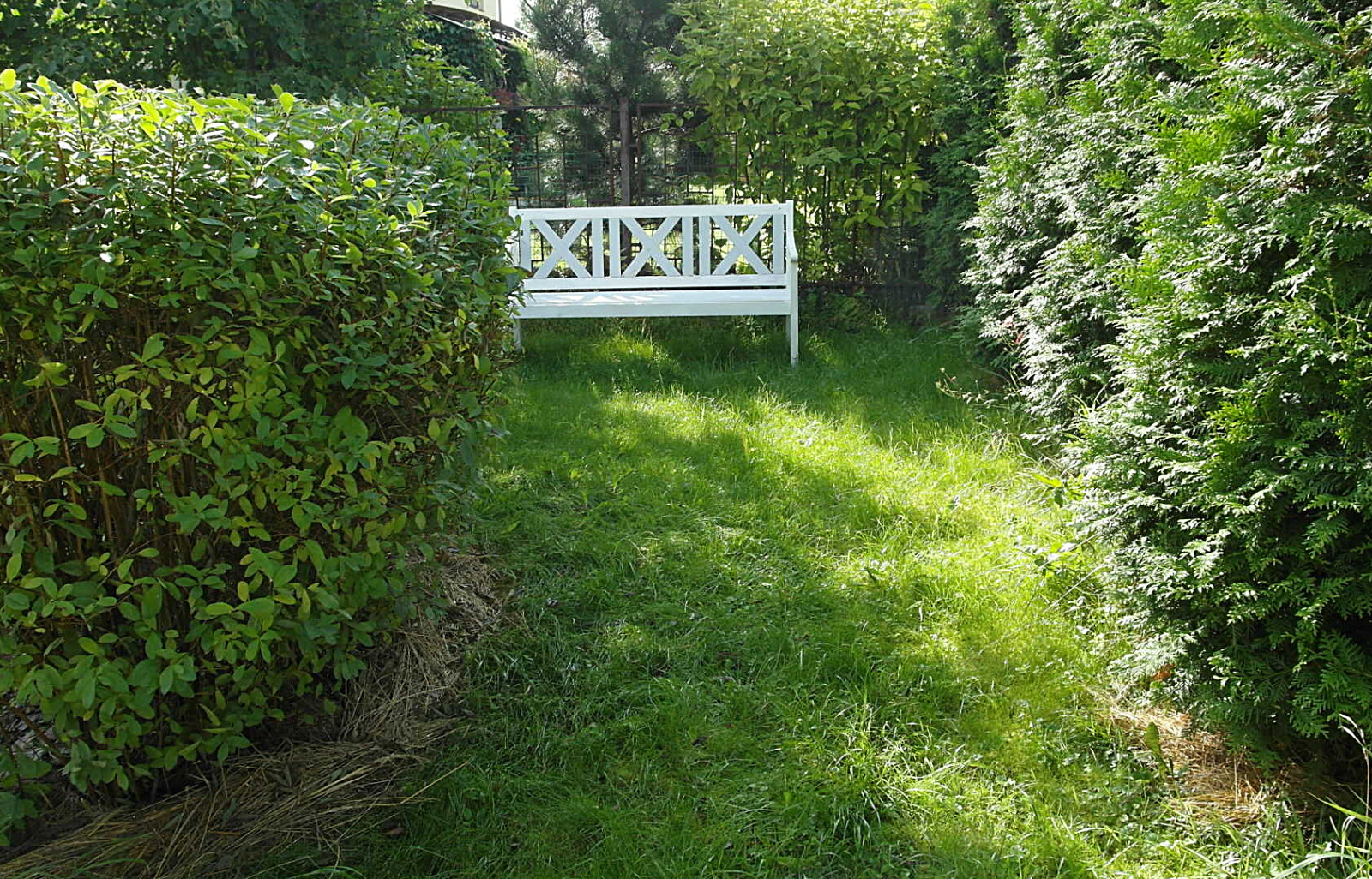 Тихий уголок сада